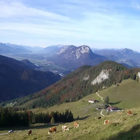 Appartamento Ferienwohnung Wimpissinger